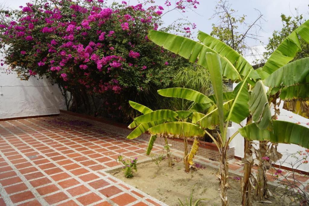 Hotel Mar Di Plata Barranquilla  Exterior photo